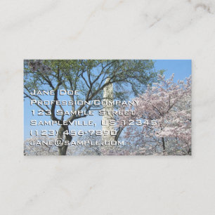 Cherry Blommars and Washington Monument in DC Visitkort