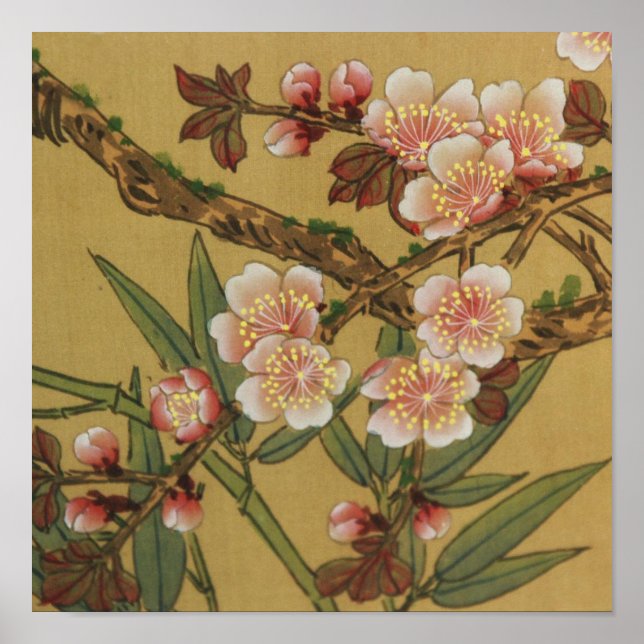 Cherry Blommars Asian Japansk Art Poster (Framsidan)
