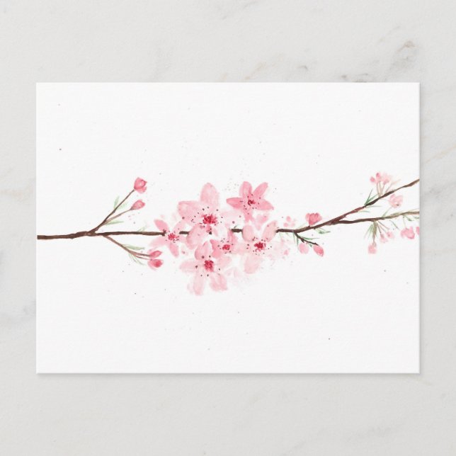 Cherry blommars blommsakura Japansk rosa Vykort (Framsida)
