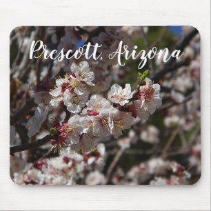 Cherry Blommars blooming in Prescott,Arizona Musmatta