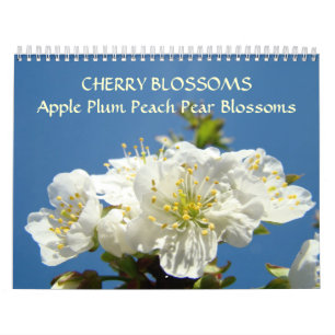 CHERRY BLOMMARS Calendar Apple Blommar Pear Peach Kalender