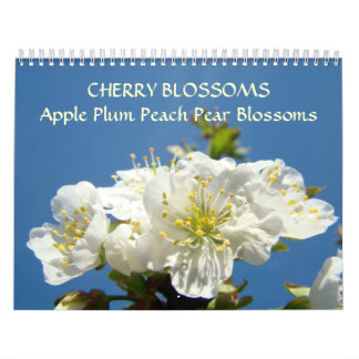 CHERRY BLOMMARS Calendar Apple Blommar Pear Peach Kalender