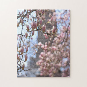 Cherry Blommars Central Park New York City NYC Pussel