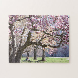 Cherry Blommars Central Park New York City NYC Pussel