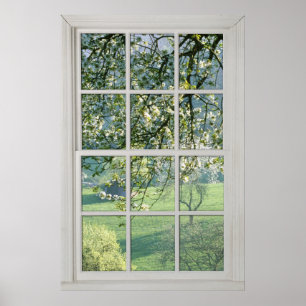 Cherry Blommars - Fake White Window (1 0f 3) Poster