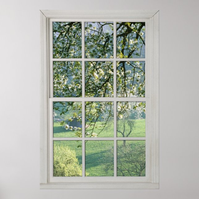 Cherry Blommars - Fake White Window (1 0f 3) Poster (Framsidan)