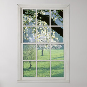 Cherry Blommars - Fake White Window (2 0f 3) Poster