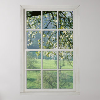 Cherry Blommars - Fake White Window (3) Poster
