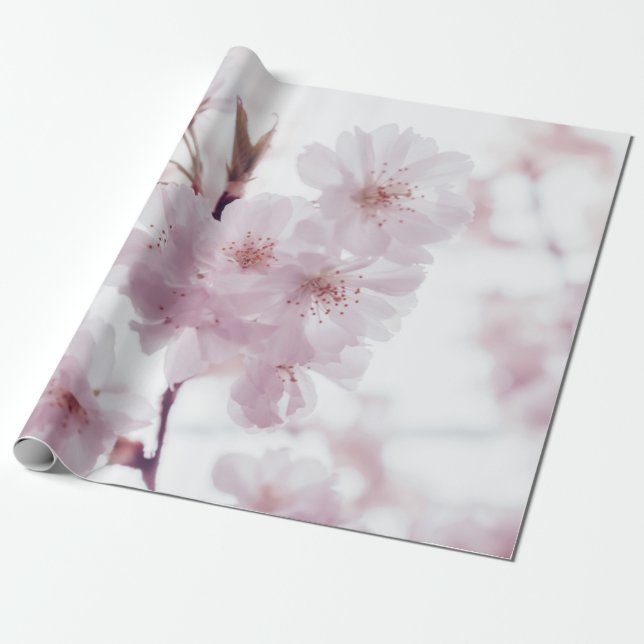 CHERRY BLOMMARS FLOWERS PRESENTPAPPER (Utrullad)