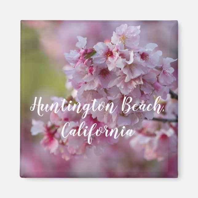 Cherry Blommars in Huntington Beach Magnet (Framsidan)