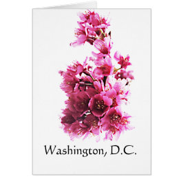 Cherry blommars in Washington, D.C. Hälsningskort