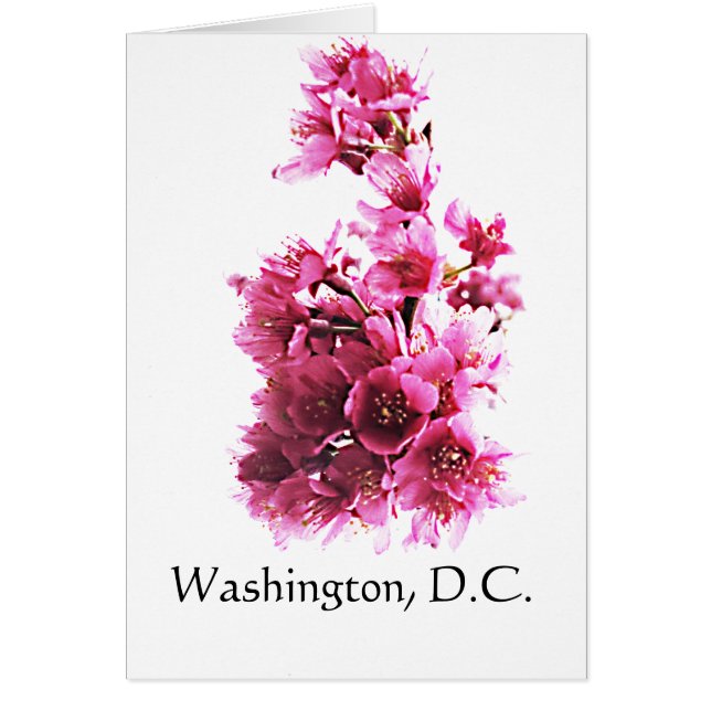 Cherry blommars in Washington, D.C. Hälsningskort (Framsidan)