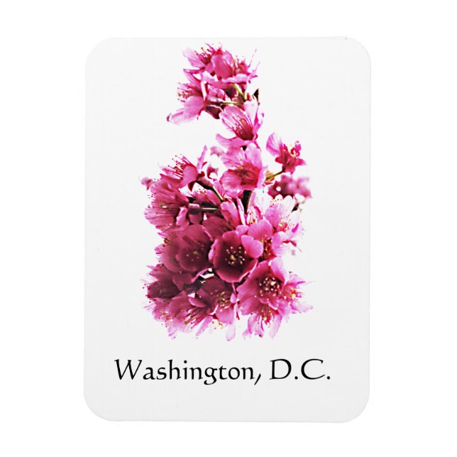 Cherry blommars in Washington, D.C. Magnet (Vertikal)