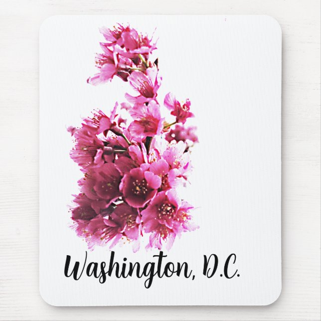 Cherry blommars in Washington, D.C. Musmatta (Framsidan)