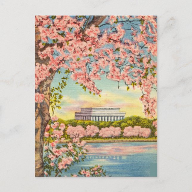 Cherry Blommars in Washington D.C. Vykort (Framsida)