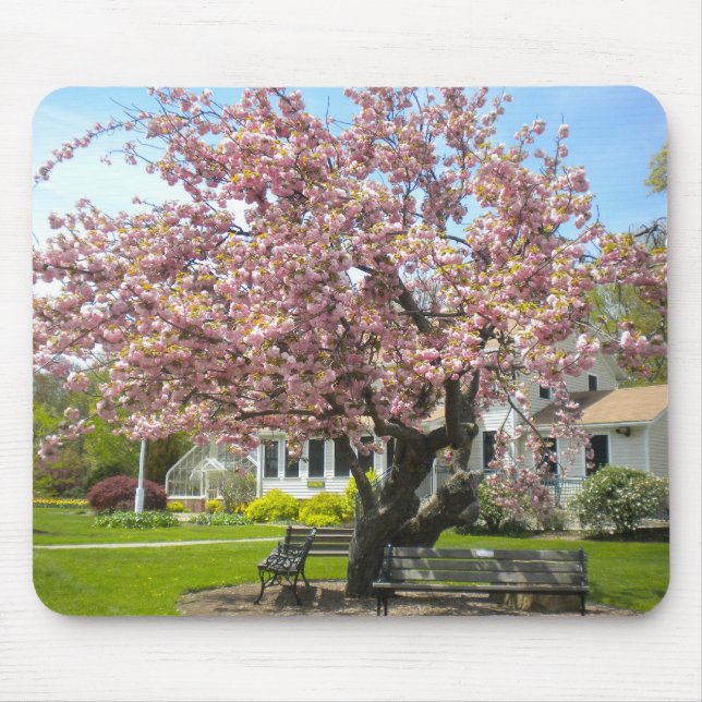 Cherry Blommars Mouse Pad Musmatta (Framsidan)