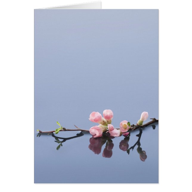 Cherry blommars på vatten hälsningskort (Framsidan)