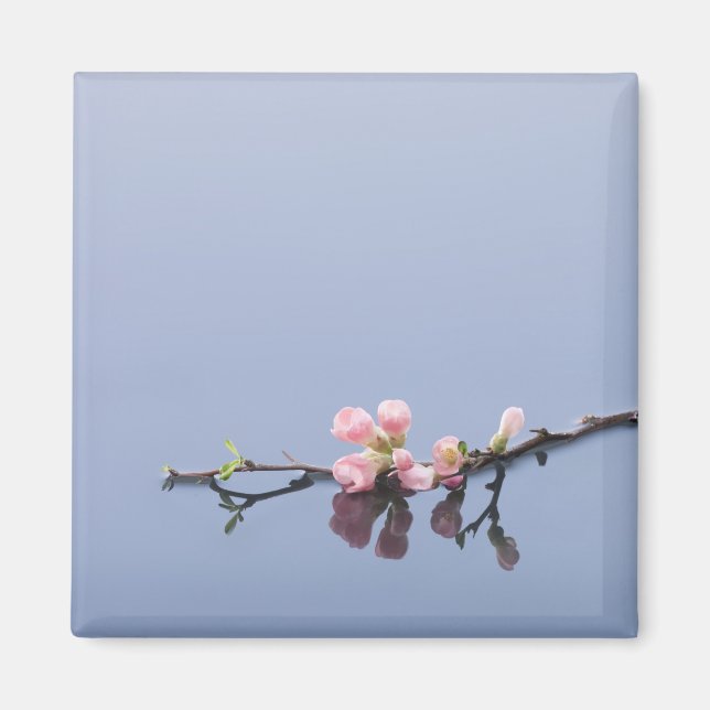 Cherry blommars på vatten magnet (Framsidan)