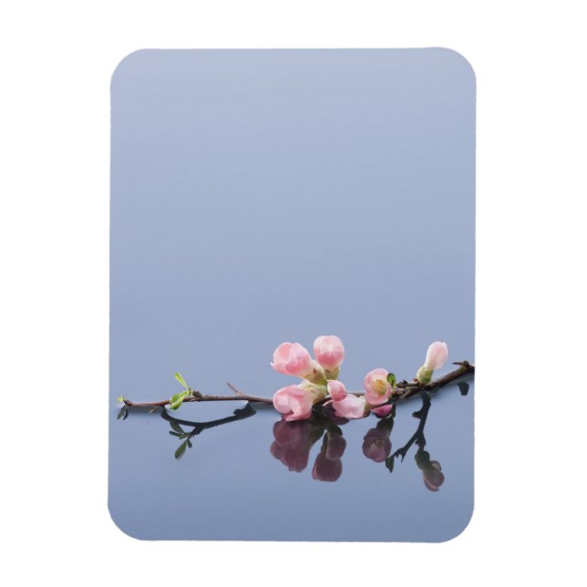 Cherry blommars på vatten magnet (Vertikal)