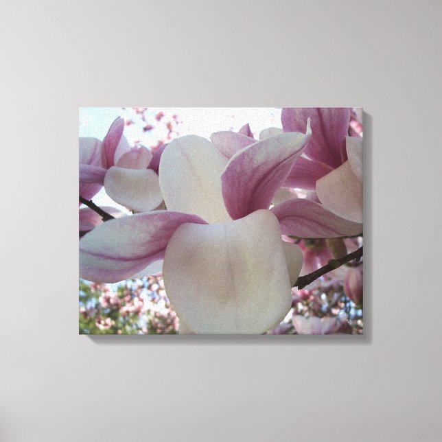 Cherry Blommars Rosa and White Photography Art Canvastryck (Framsida)