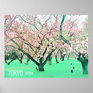 Cherry Blommars Sakura Tokyo Japan-resetryck Poster
