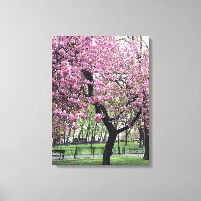 Cherry Blommars Springtime Träd NYC New York City Canvastryck (Framsida)