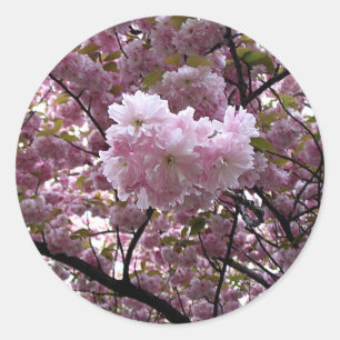 Cherry Blommars Sticker Runt Klistermärke