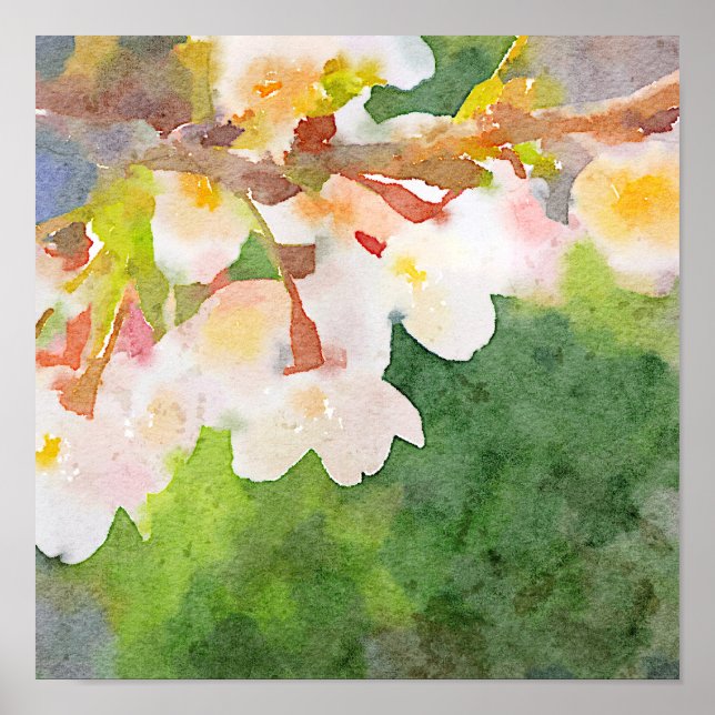 Cherry Blommars Watercolor Sakura Flowers Vår Poster (Framsidan)