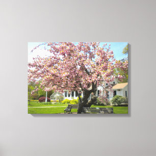 Cherry Blommars Wrapped Canvas