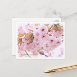 Cherry Blossom "Azuma-nishiki" ポストカード Vykort