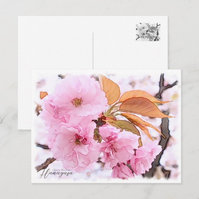 Cherry Blossom "Hanagasa" Vykort (Fram/baksida)
