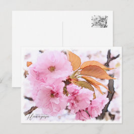Cherry Blossom "Hanagasa" Vykort