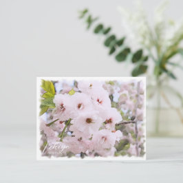 Cherry Blossom "Ichiyo" Vykort
