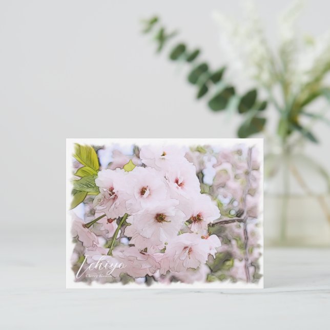 Cherry Blossom "Ichiyo" Vykort (Stående Fram)