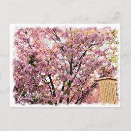 Cherry Blossom "Imose" ポストカード Vykort