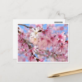 Cherry Blossom "Jugatsu-zakura" Vykort