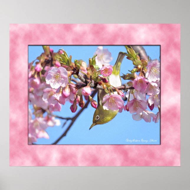 Cherry blossom "Kawazu-Zakura" ポスター Poster (Framsidan)