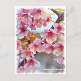 Cherry blossom: Kawazu-Zakura ポストカード Vykort