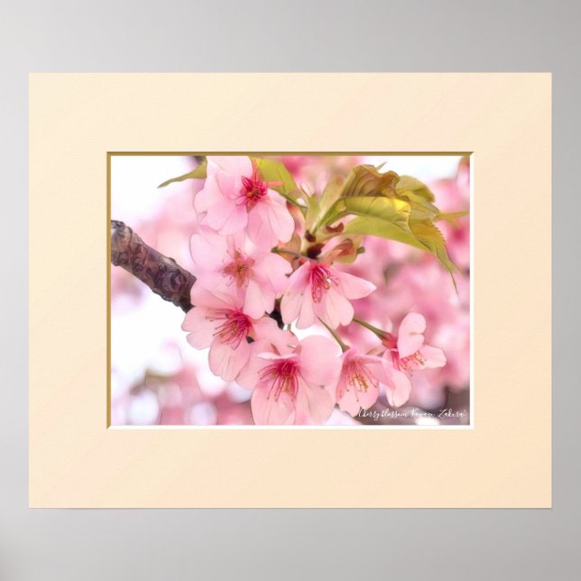 Cherry blossom "Kawazu-Zakura" Poster (Framsidan)