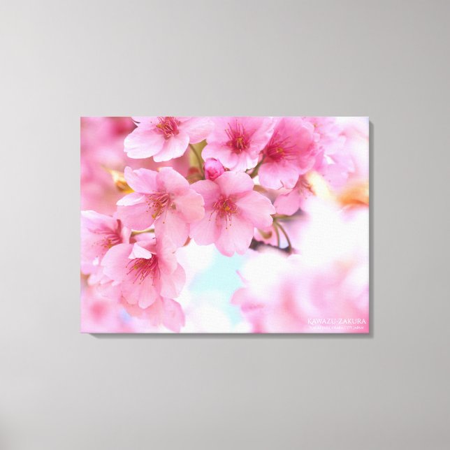 Cherry blossom"Kawazu-zakura"：Premium Canvas (Framsida)
