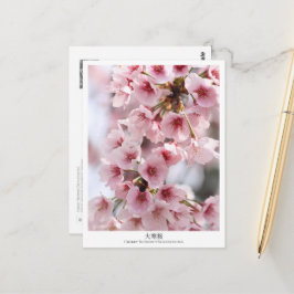 Cherry Blossom ‘Oh-kanzakura’ Vykort