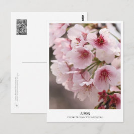 Cherry Blossom ‘Oh-kanzakura’ Vykort
