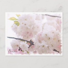 Cherry Blossom "Ranran" ポストカード Vykort
