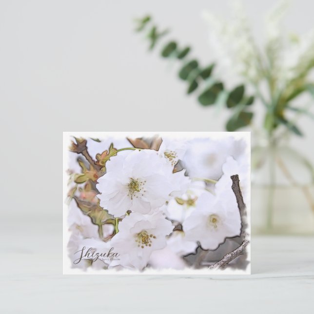 Cherry Blossom "Shizuka" Vykort (Stående Fram)