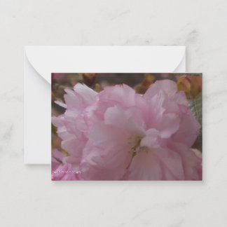 Cherry Blossom Sympathy Card Anteckningskort
