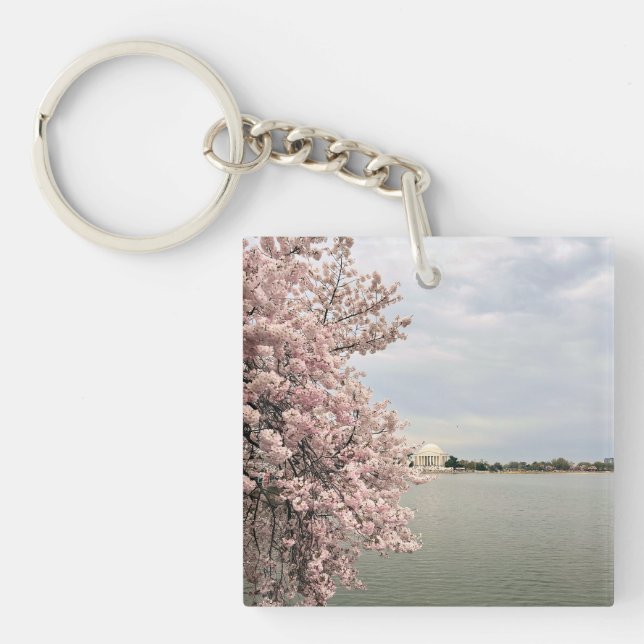 Cherry Blossoms at the Tidal Basin (Framsidan)