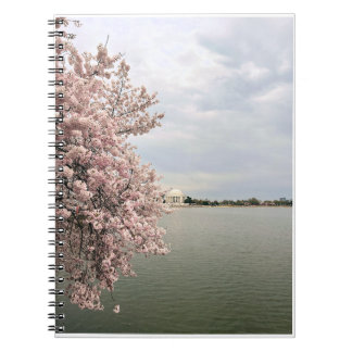 Cherry Blossoms at the Tidal Basin Anteckningsbok