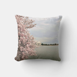 Cherry Blossoms at the Tidal Basin Kudde