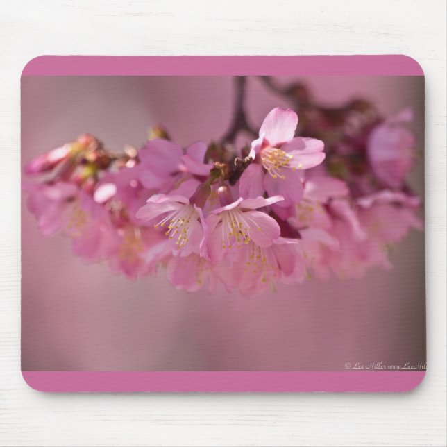 Cherry Blossoms Varmkälla  2012 Kläder  & presente Musmatta (Framsidan)
