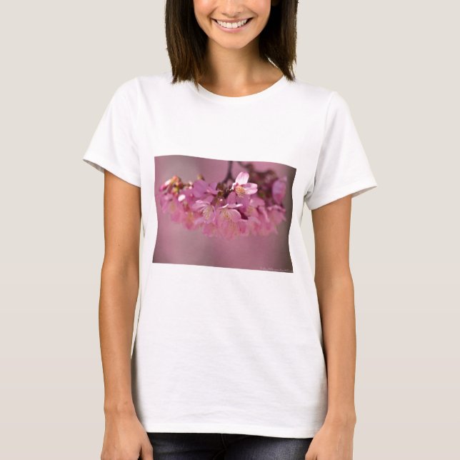 Cherry Blossoms Varmkälla  2012 Kläder  & presente T Shirt (Framsida)